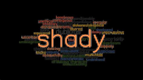 shady synonym|another word for shady person.